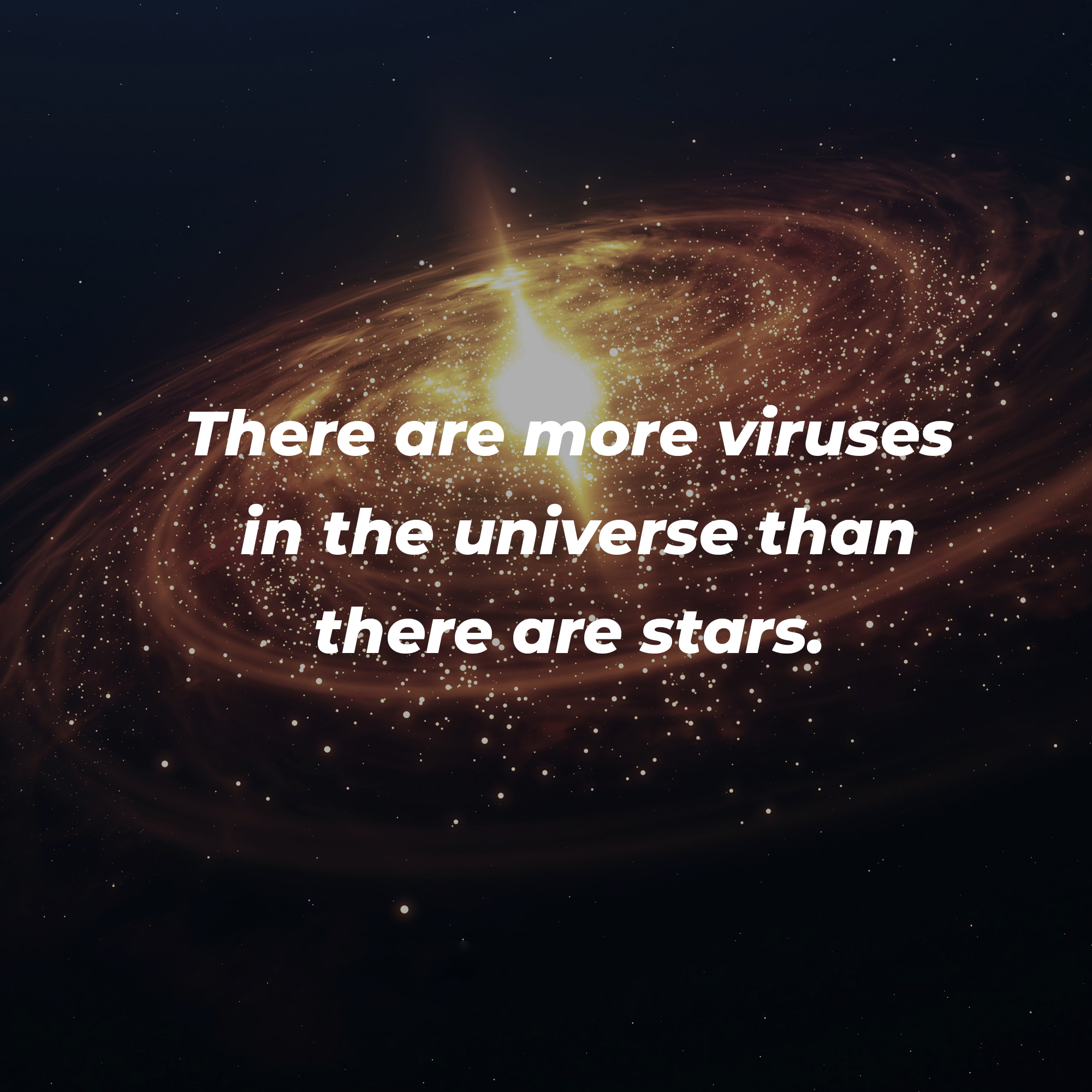 A picture of a galaxy with the text overlay, “There are more viruses in the universe than stars” | Image: Unsplash
