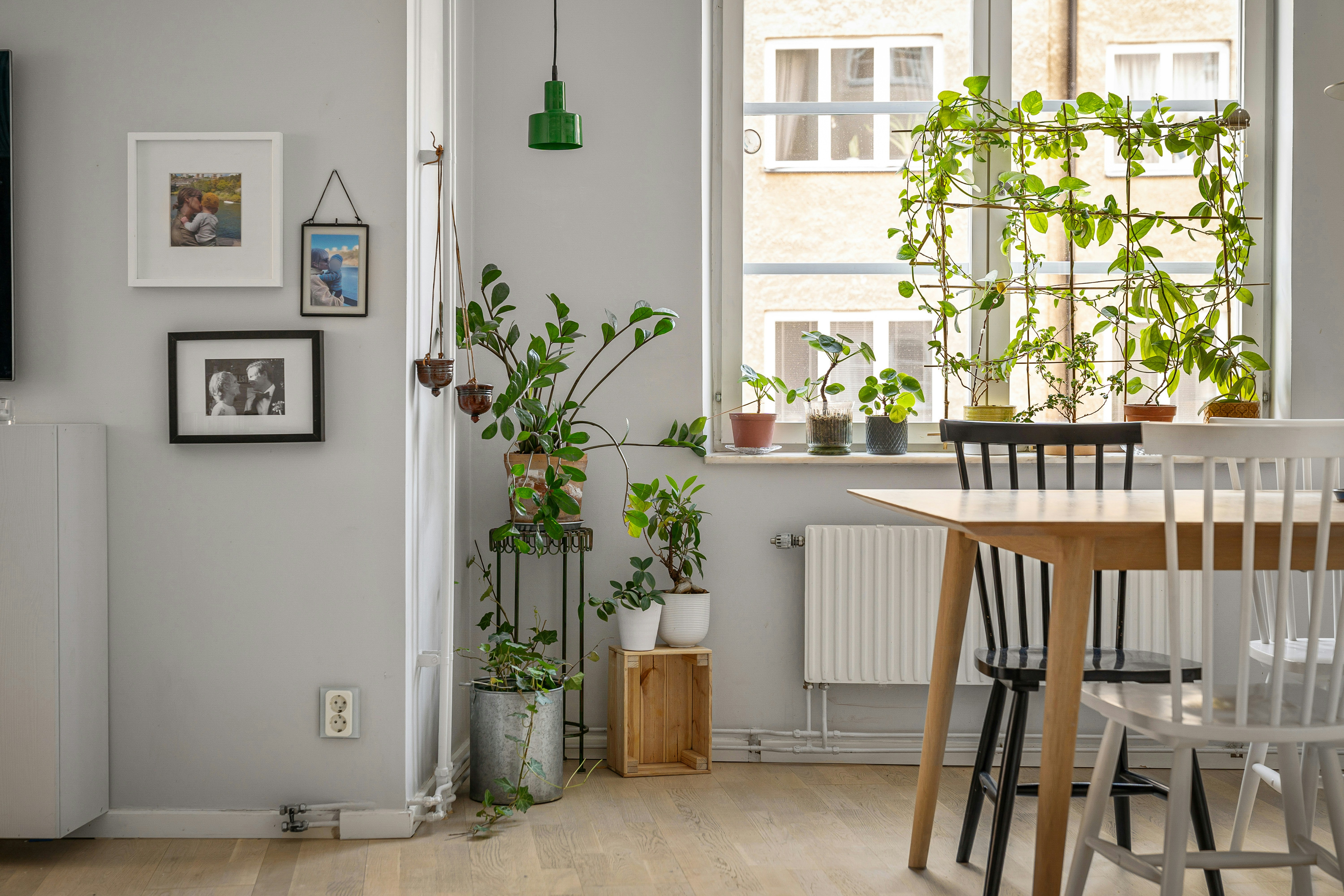 Simple Steps for Eco-Friendly Home Improvements