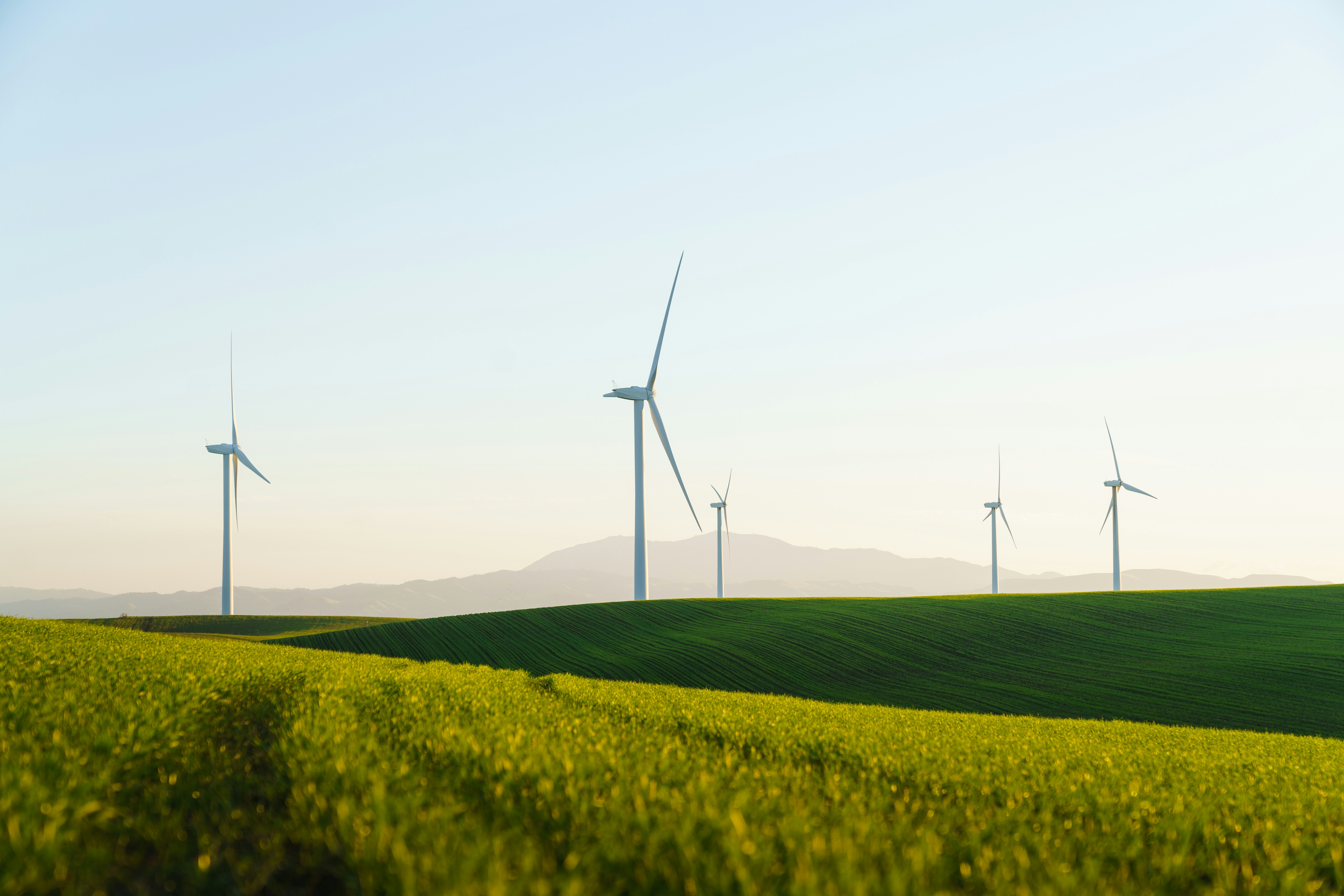The Most In-Demand Green Jobs and How to Qualify