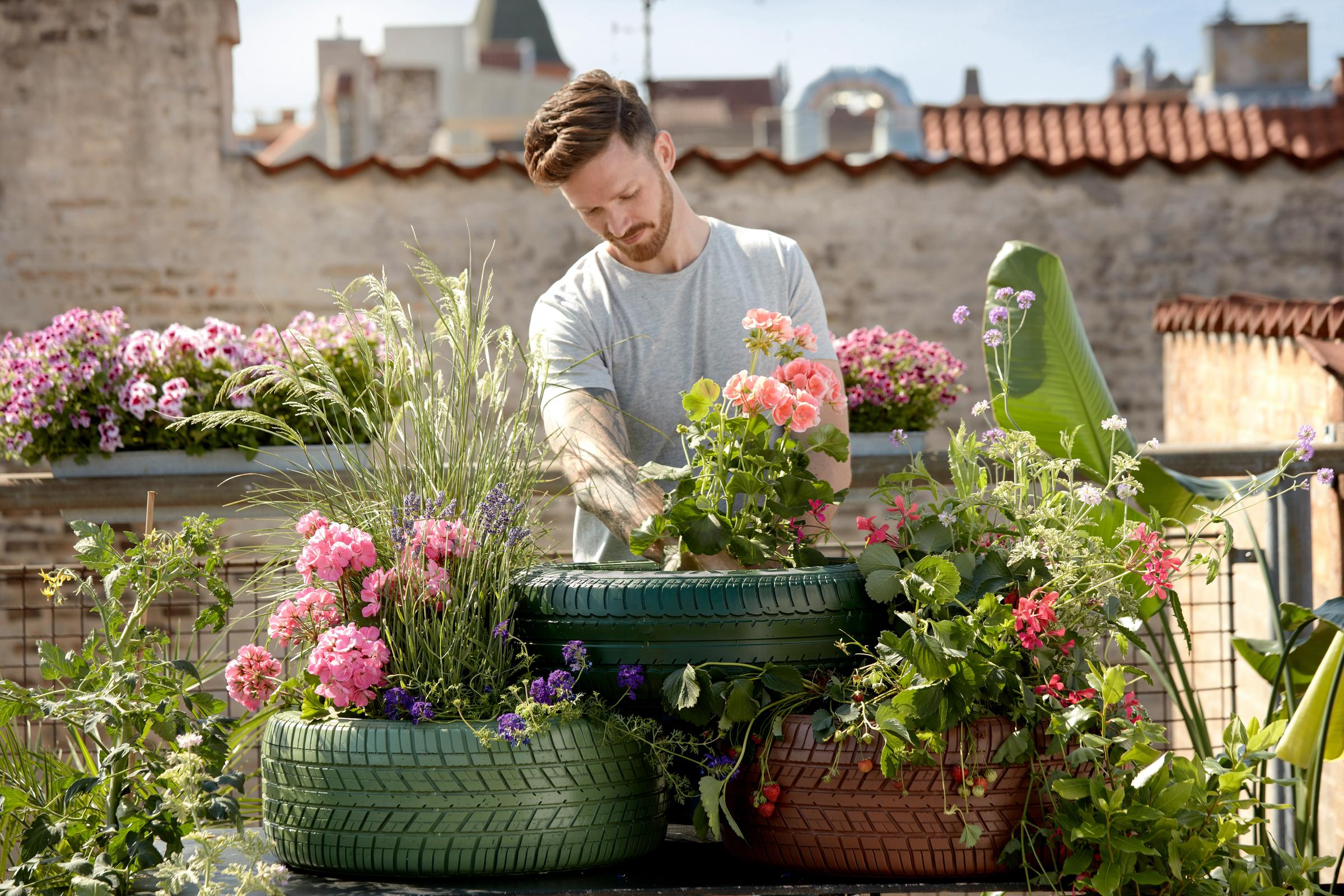Experience The Bliss Of Gardening As A Relaxing Home Hobby